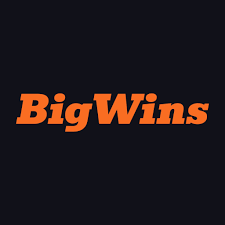 BigWins Gambling Establishment: Gamer Ratings & Our Verdict