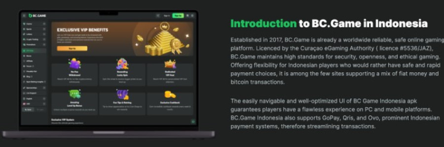 The Rise of Bcgame Revolutionizing the Online Gaming Experience