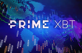 Mastering Trading on PrimeXBT MX - Strategies and Insights