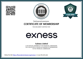 Unlocking the World of Trading with Exness Forex Promotion Material