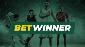 Log In to BetWinner - Your Gateway to Exciting Betting