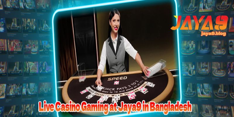 Unlocking the Secrets of Jaya9 Your Gateway to Seamless Connectivity