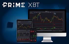 Maximize Your Trading Experience with the PrimeXBT Mexico App