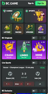 BC Game France  Plongée Dans Le Monde Des Jeux en Ligne