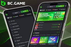 Exploring BC.Game Hub The Ultimate Gaming Experience