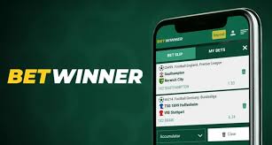 Experience the Thrill of BetWinner Casino and Sportsbook